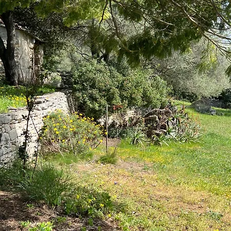 Villa 2 Mini Independantes Campagne Flo Saint-Florent (Corsica)